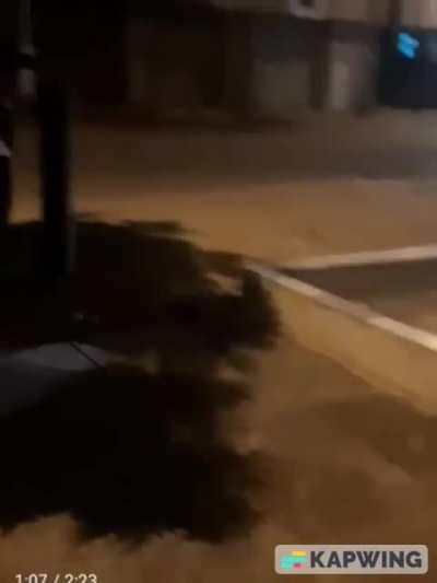 BERK LIVE ACTION?! (real)