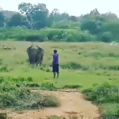HMFT after I mess with this elephant