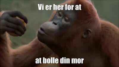 Sikke et r/apkat tidspunkt