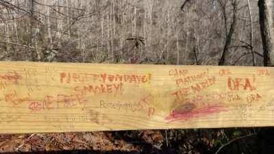 Found some interesting graffiti at the park today