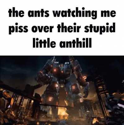 stupid ants