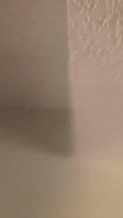 Greetings from the modest home