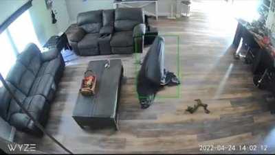 Who turned out the lights?