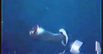 Realistic animation showing the implosion of the âTitanâ