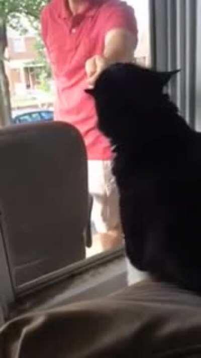 Cat Sees owner bringing home a new roommate (couldn't Crosspost)