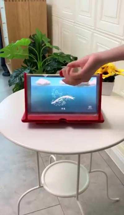 Phone screen magnifier