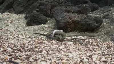 Forget all thriller/action scenes you have ever watched