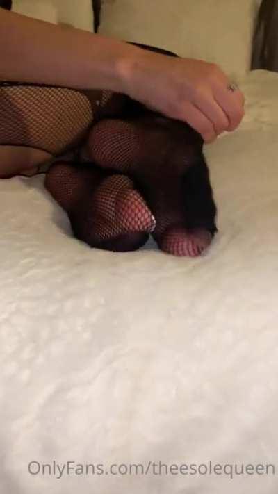 TheeSoleQueen Pretty White Toes and Soles In Stockings