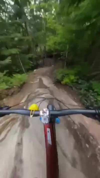 Professional cycler riding down the hill