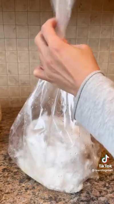 Thanks I hate your toilet paper mushrooms