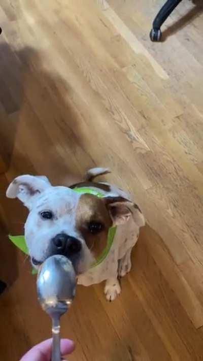 Manners vs. no manners.