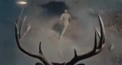 The Beaststars season 3 trailer