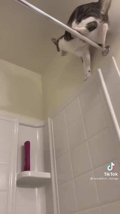 Hmm... a feet here... and another one over there....