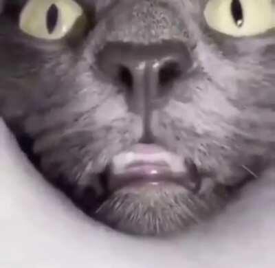 POV: my weed when I get a new bag