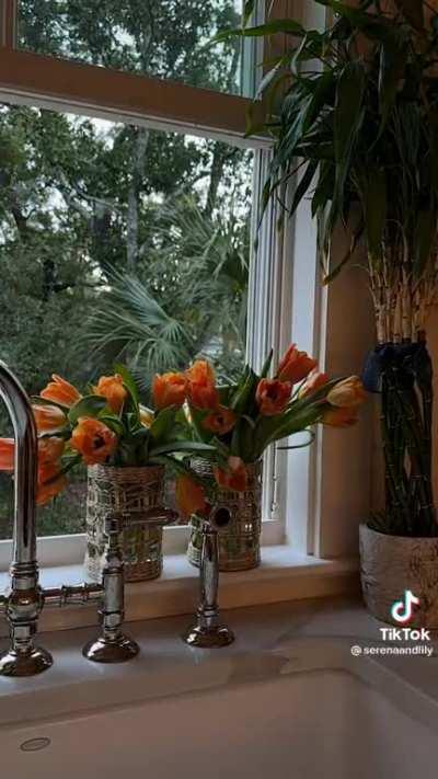 How your cut flowers stay fresh longer in the vase 🏺 🌹🌸🌺🌷🌻🌼💐