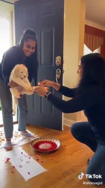 Graha Pravesh for Pupper