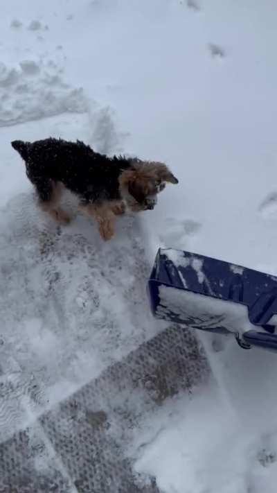 He’s helping lol ❄️