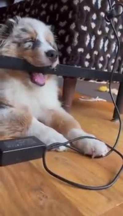 How does one fall asleep like this