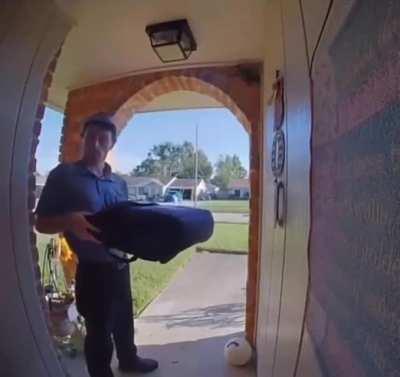 Poor delivery guy had no idea what was going on