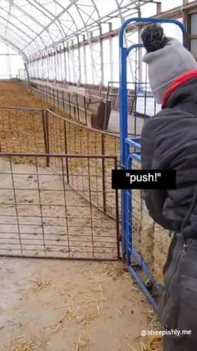 c'mon Margie, you're not *that* big...