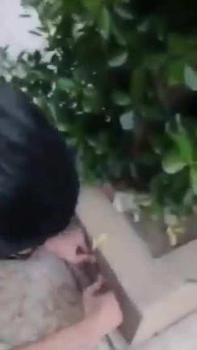 There Will Be Bloodshed