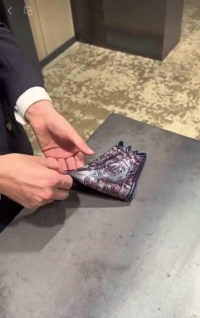 EMSK: Folding a handkerchief