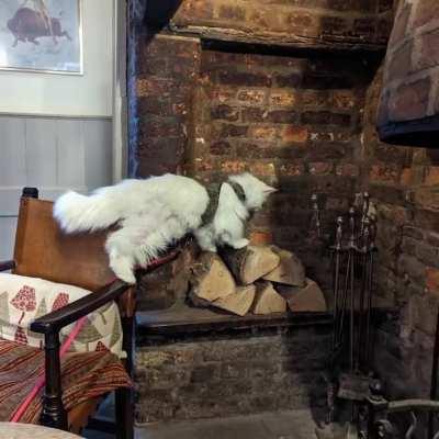 A few moments from our trip into the countryside.