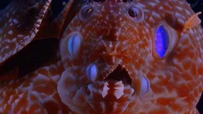 Announcing zeroscope_v2_XL: a new 1024x576 video model based on Modelscope