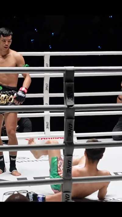 Muay Thai Flying Knee Knockdown 