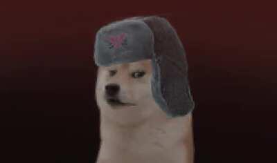 Normal day at Grestin border checkpoint