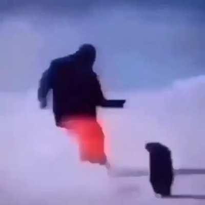 vreau invite pe server ca ala de la automod nu merge