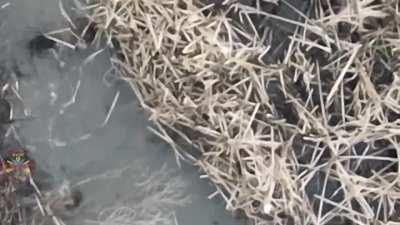 Two Russian soldiers fall into a creek while being chased by a Ukrainian drone and get hit with grenades, both end up drowning.