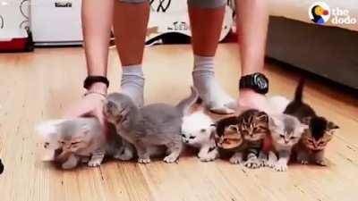 It's very tough to get a family photo