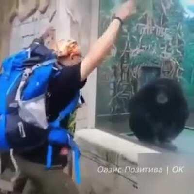 This human is a good monkey!