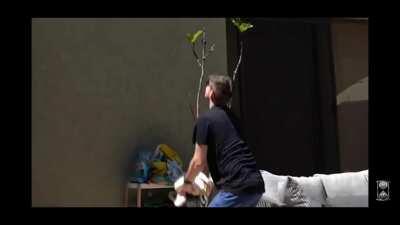 Mark bitch slaps a raw chicken at .25x speed