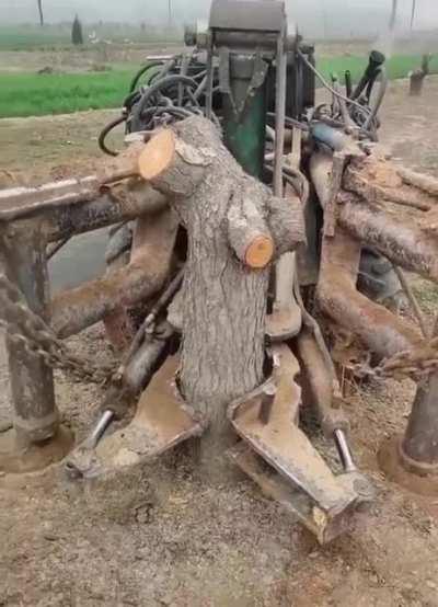 Tree stump remover