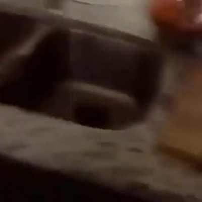 Don’t yeet that egg