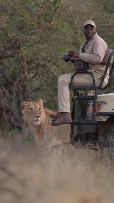 I definitely saw a lioness! Where the Hell did she go?! Oh s#*Â¥!