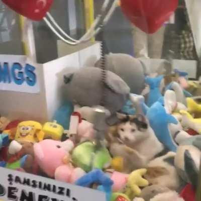 This Asshole Costing Someone $.50