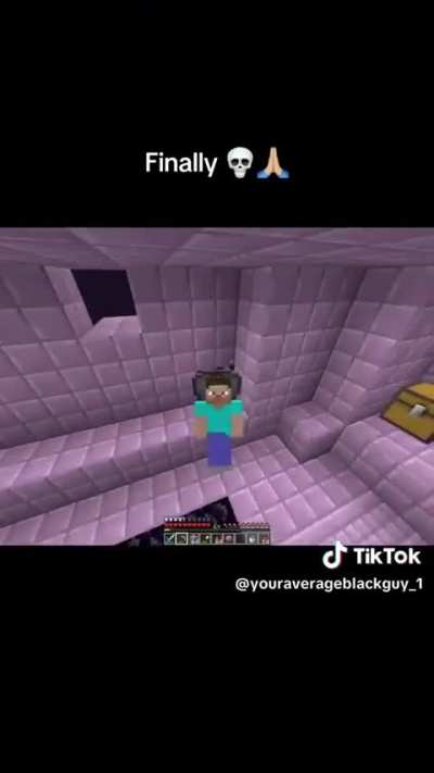 MinecraftMemes - Video #6685