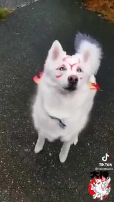 A friend sent me this