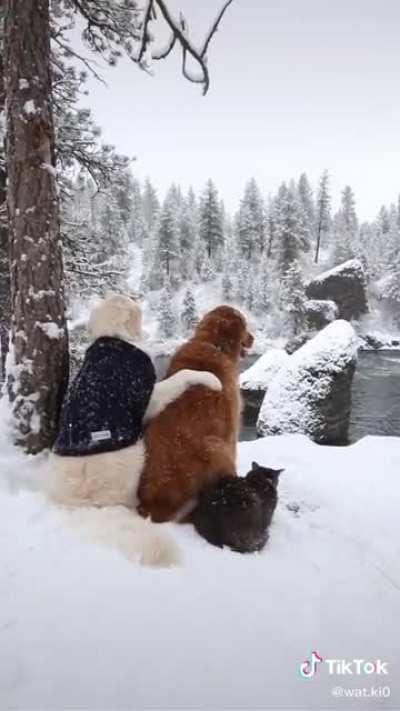 LUBISCO VÊ ISSO PLEASE