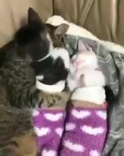 sleep here don't get up