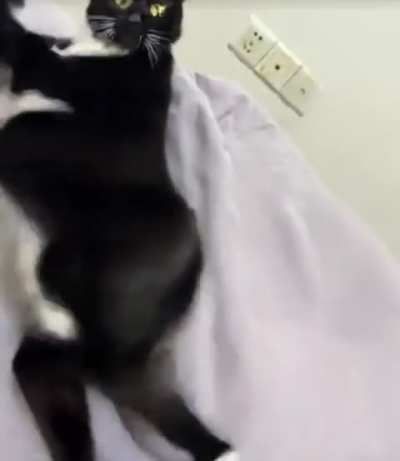 How can I do this on Wan Vace?