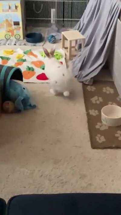 That butt shake, tho.