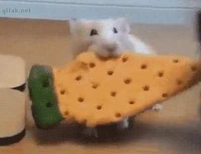 My husband sent me this and I thought of this sub immediately 😂