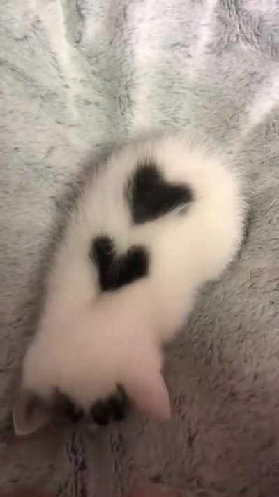 She said she loved me :"&amp;gt;