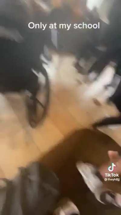 Nigga learned to walk mid fight😭