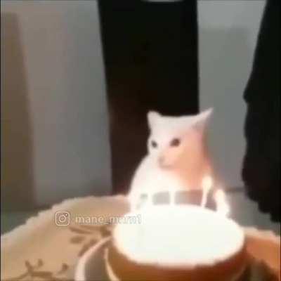 GET THIS GUY OUT GET THIS GUY OUT GET THIS GUY OUT GET THIS GUY OUT GET THIS GUY OUT GET THIS GUY OUT GET THIS GUY OUT GET THIS GUY OUT GET THIS GUY OUT GET THIS GUY OUT GET THIS GUY OUT GET THIS GUY OUT GET THIS GUY OUT GET THIS GUY OUT GET THIS GUY OUT 