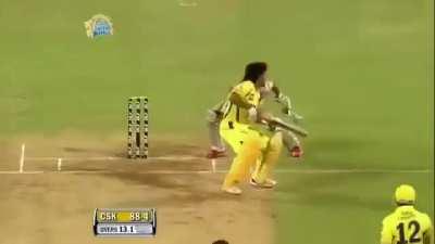 When you accidentally pressed D in Cricket 2007 game